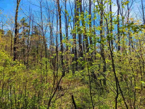 4 Antler Loop Dover VT 05356