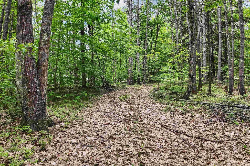 111 Green Mountain Road Effingham NH 03882