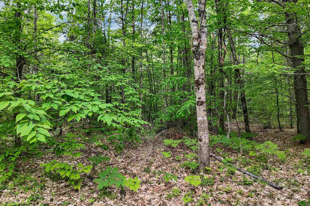 111 Green Mountain Road Effingham NH 03882