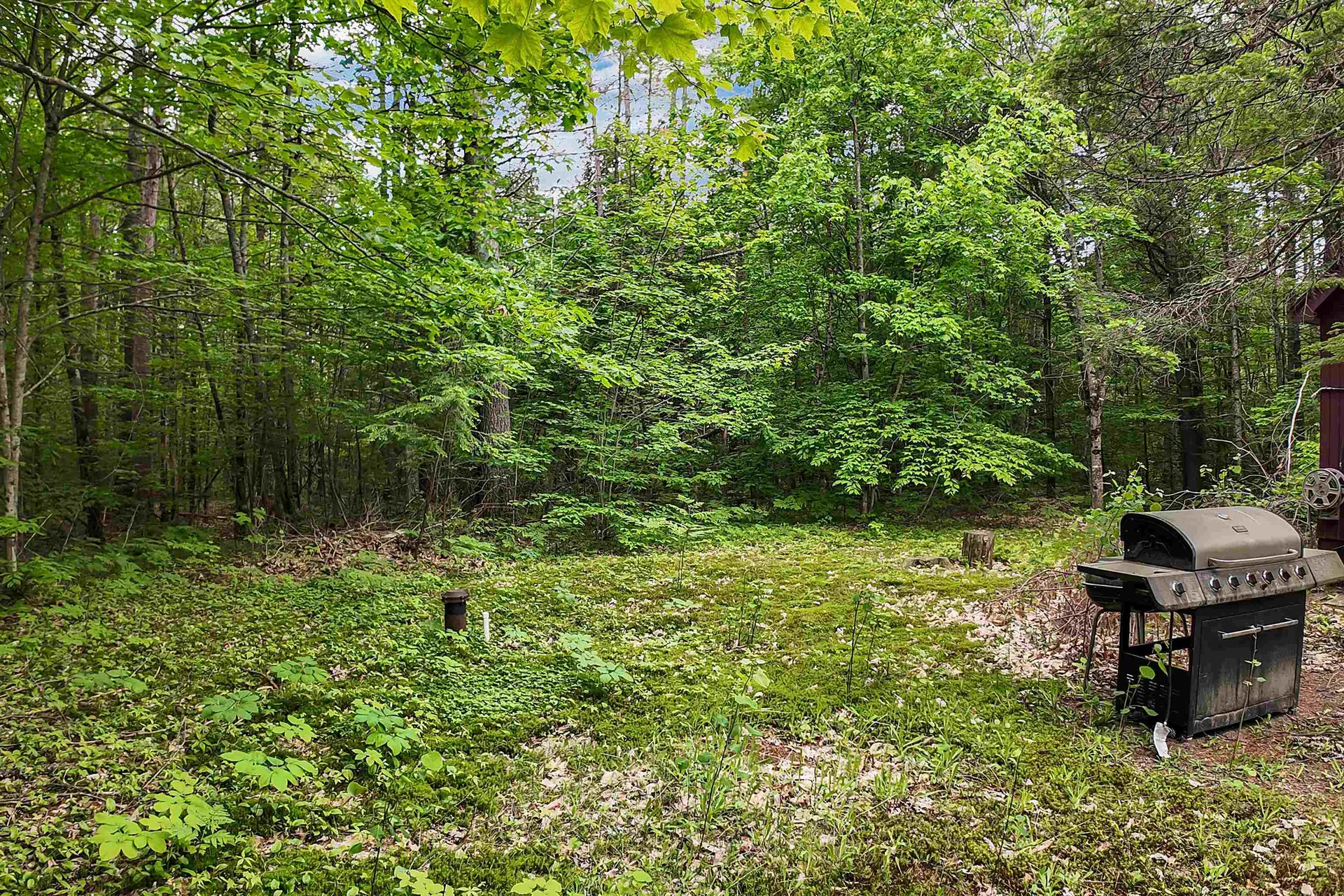 111 Green Mountain Road Effingham NH 03882