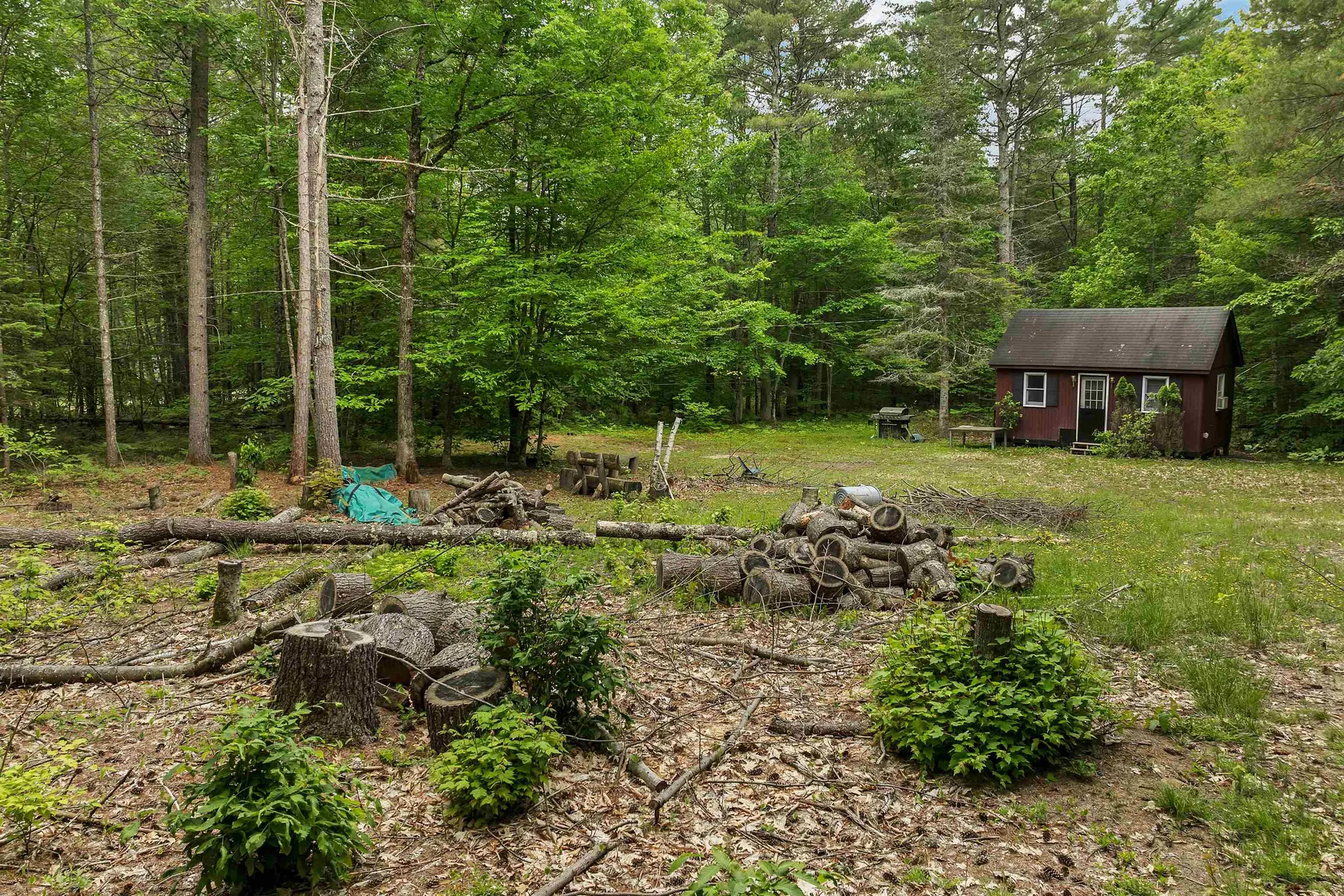 111 Green Mountain Road Effingham NH 03882