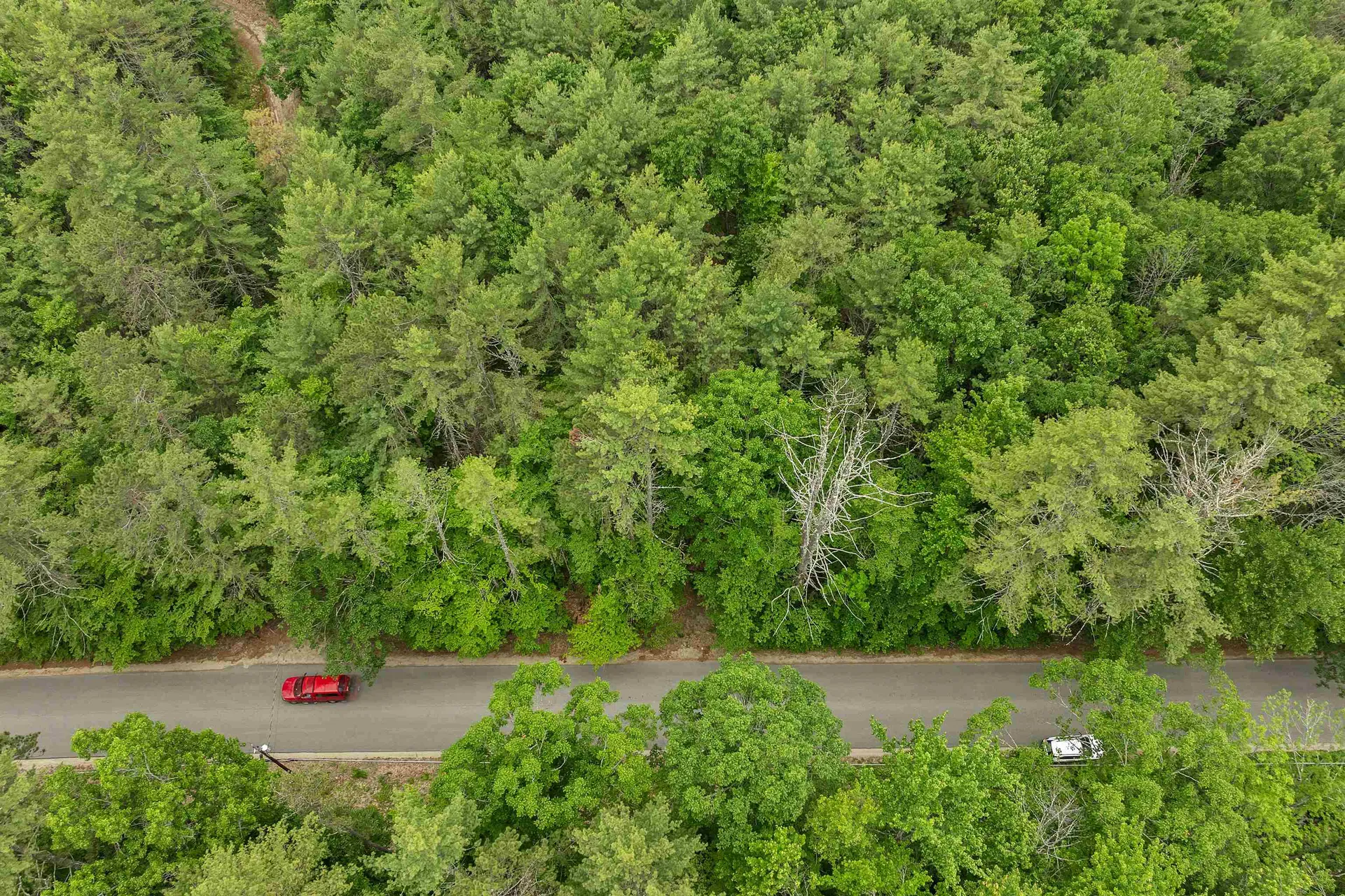 111 Green Mountain Road Effingham NH 03882