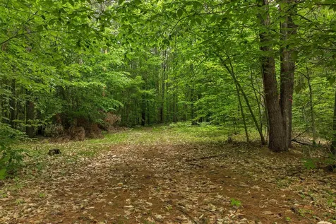 111 Green Mountain Road Effingham NH 03882