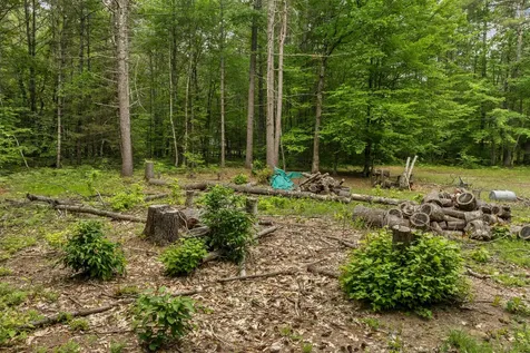 111 Green Mountain Road Effingham NH 03882