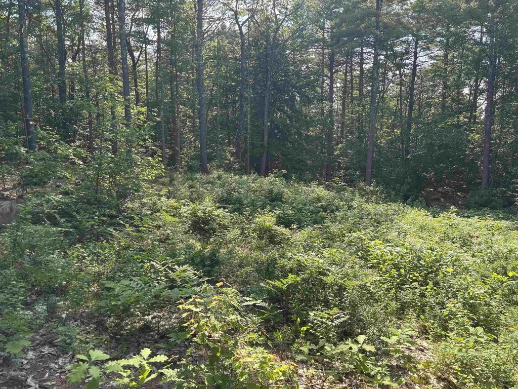 00 Davis Hill Road Conway NH 03813
