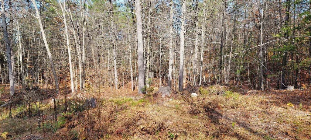 00 Davis Hill Road Conway NH 03813
