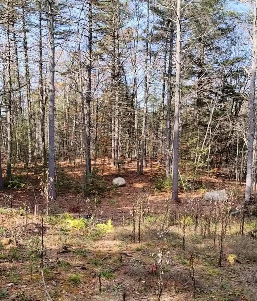 00 Davis Hill Road Conway NH 03813
