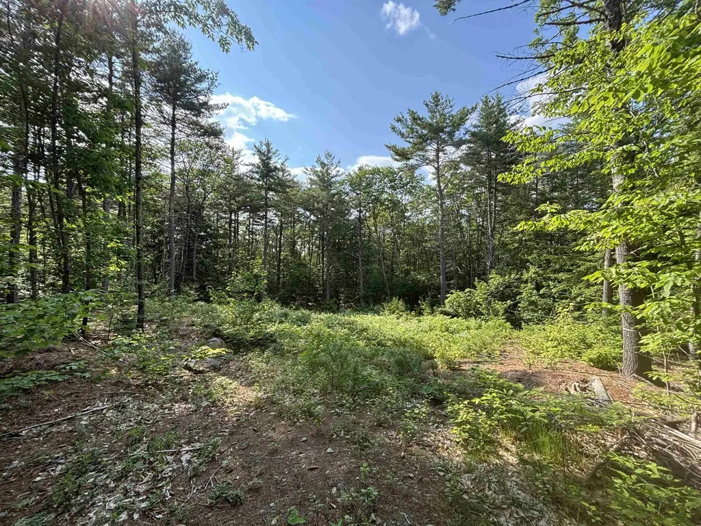 00 Davis Hill Road Conway NH 03813