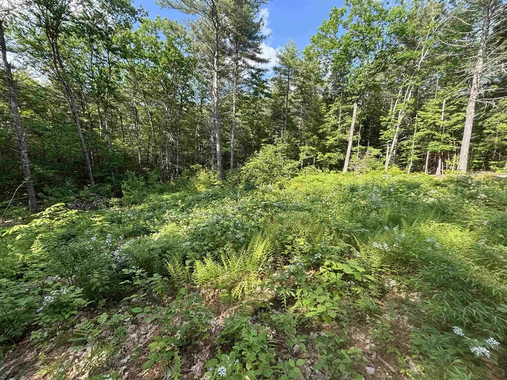 00 Davis Hill Road Conway NH 03813