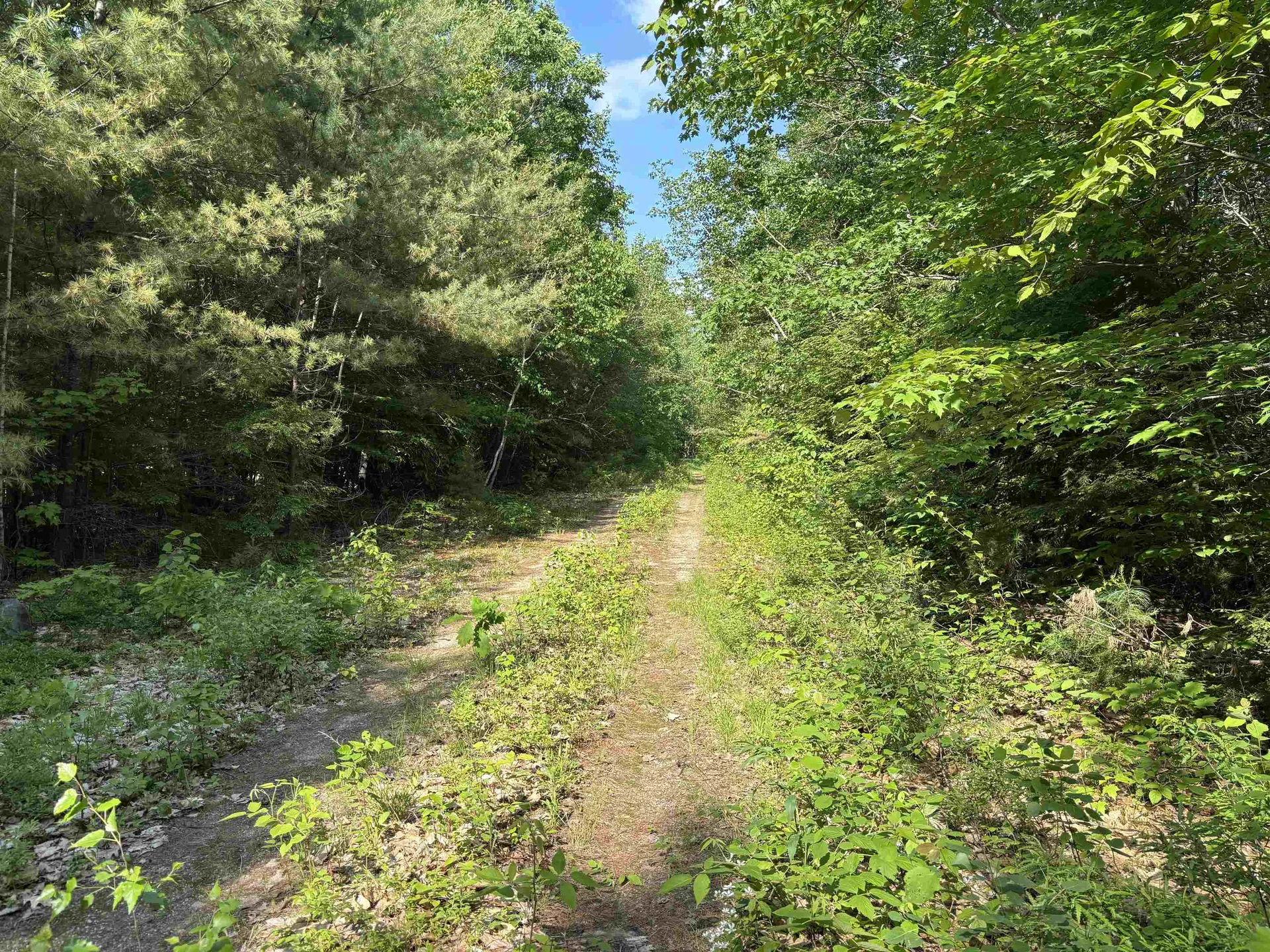 00 Davis Hill Road Conway NH 03813