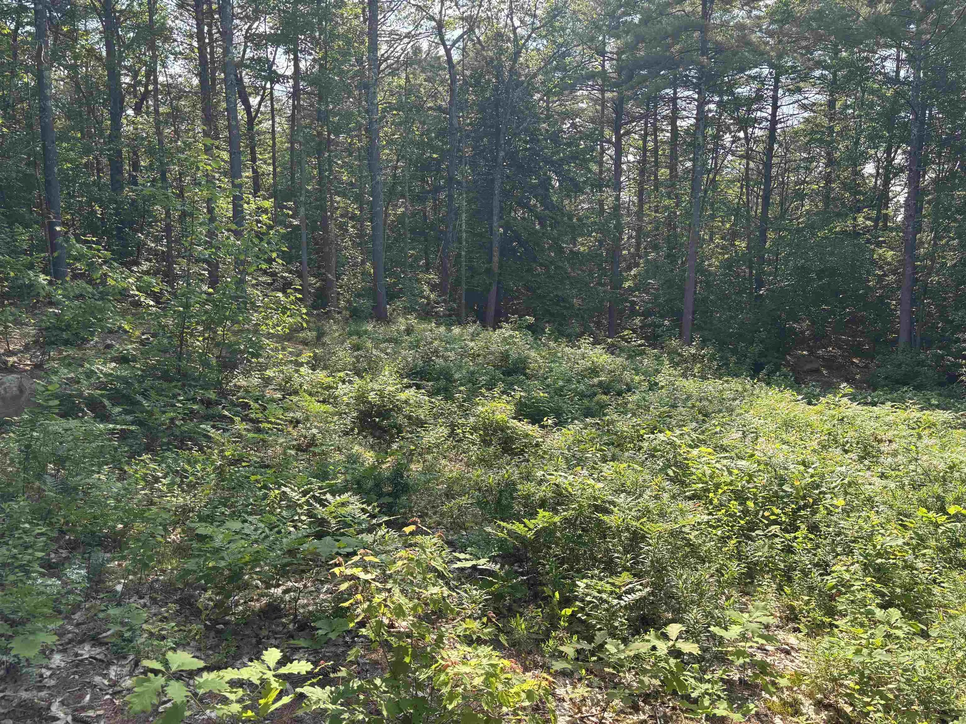 00 Davis Hill Road Conway NH 03813