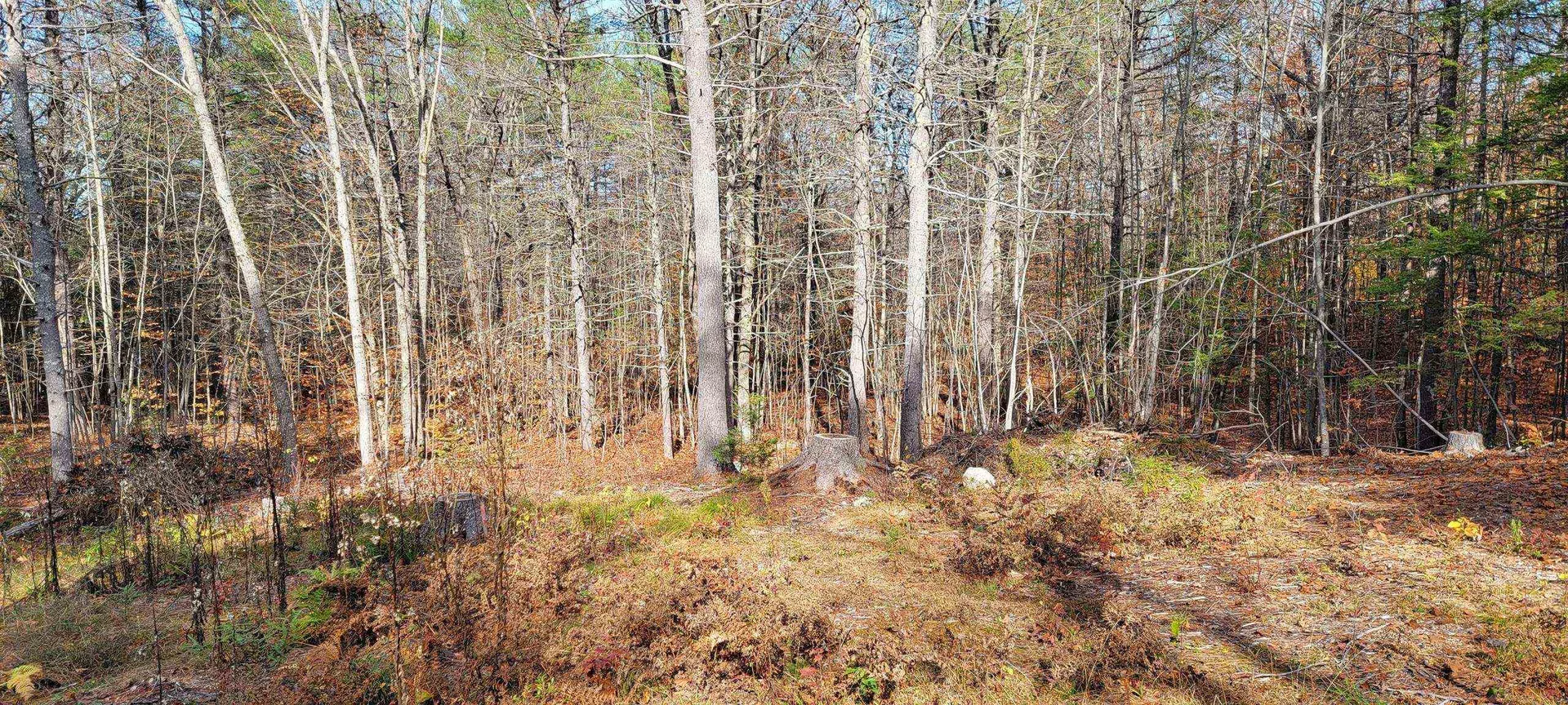 00 Davis Hill Road Conway NH 03813