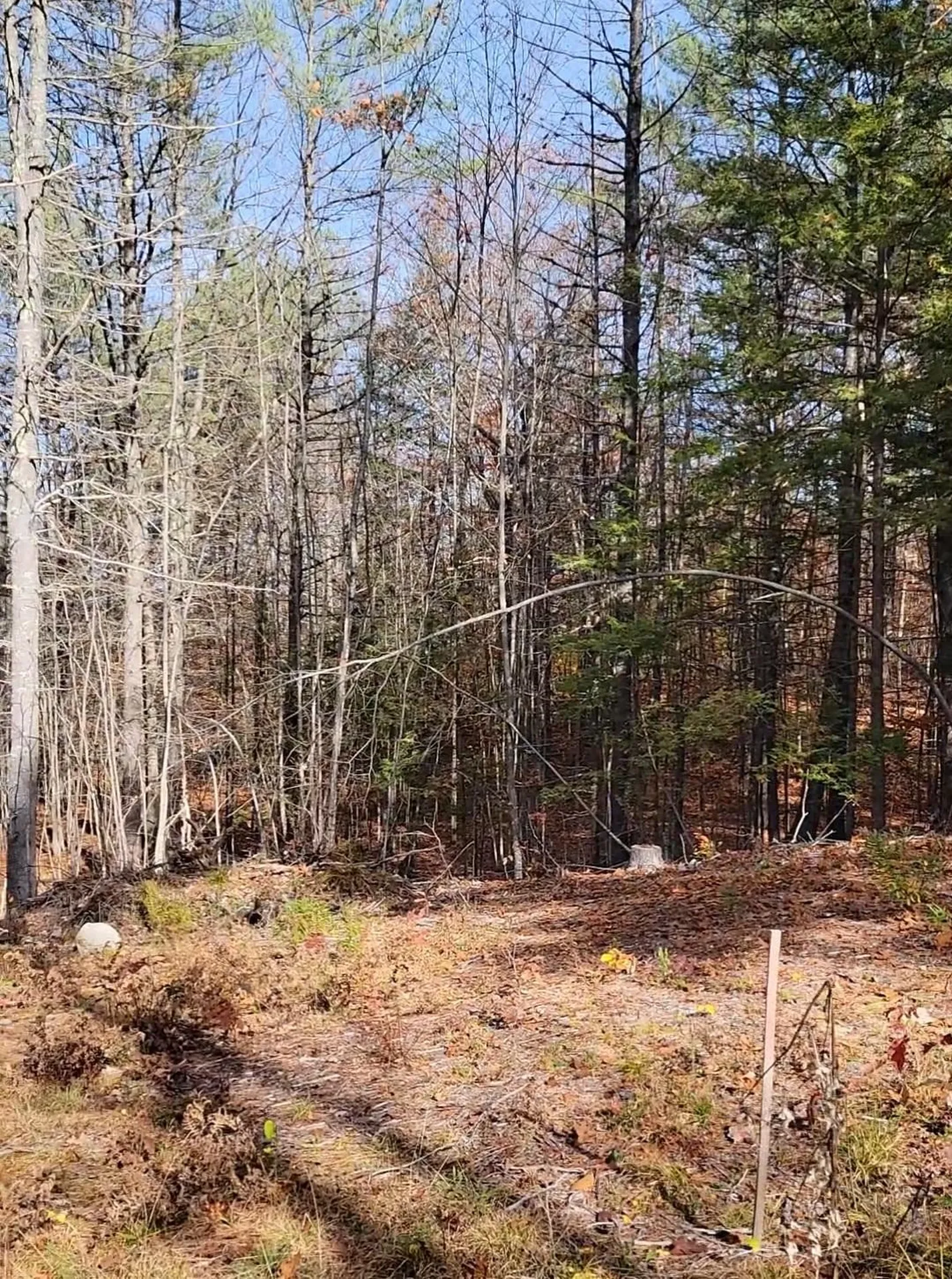00 Davis Hill Road Conway NH 03813