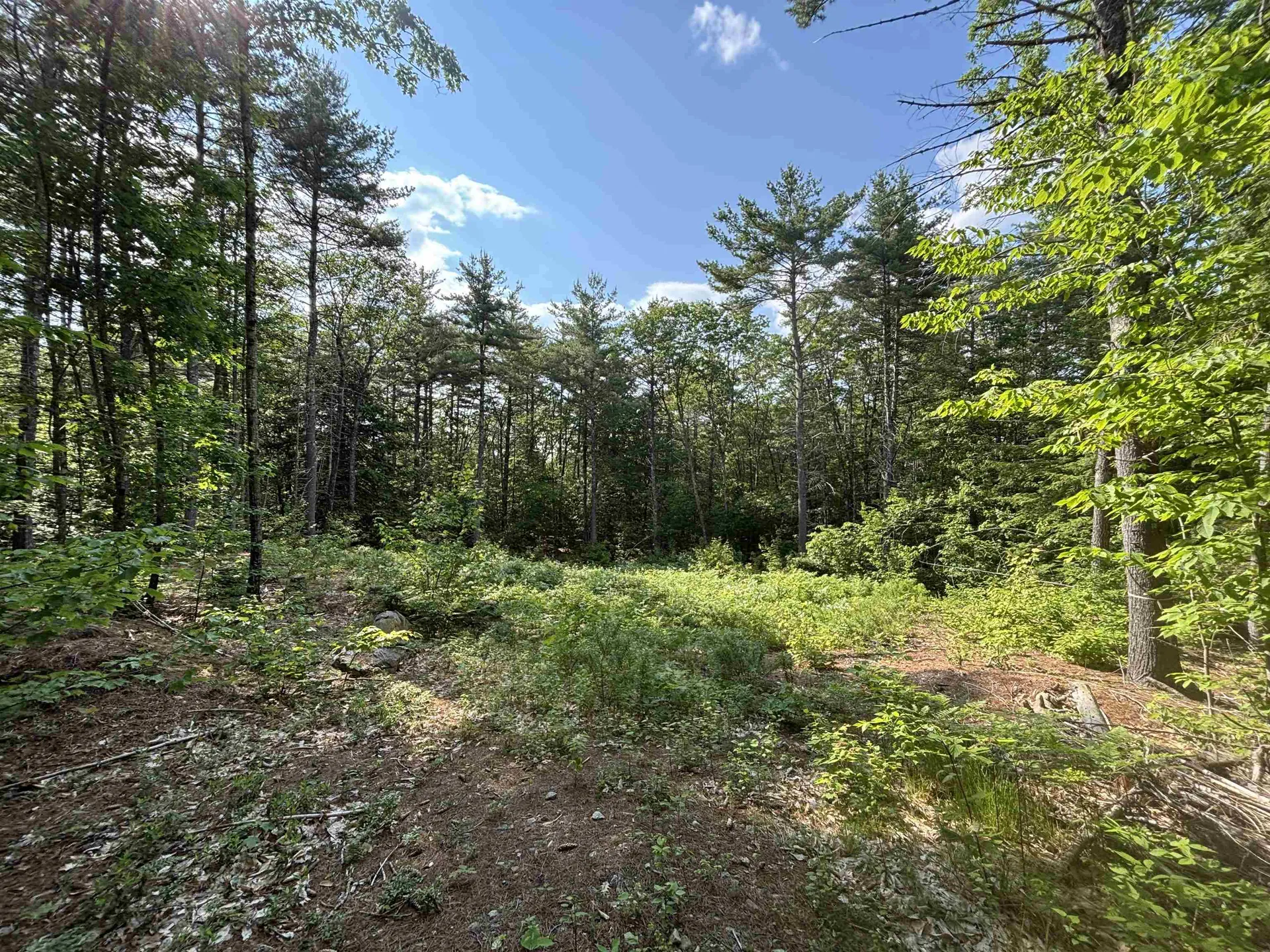 00 Davis Hill Road Conway NH 03813