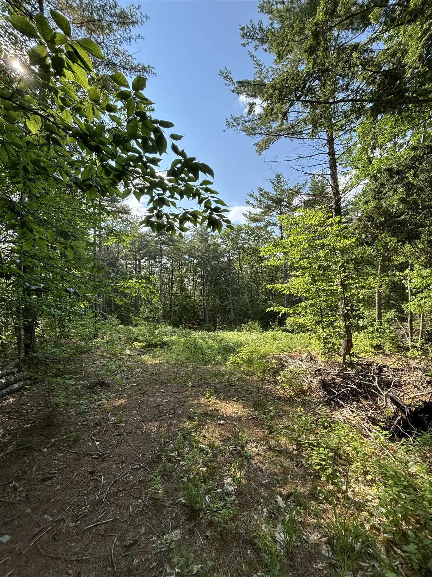 00 Davis Hill Road Conway NH 03813