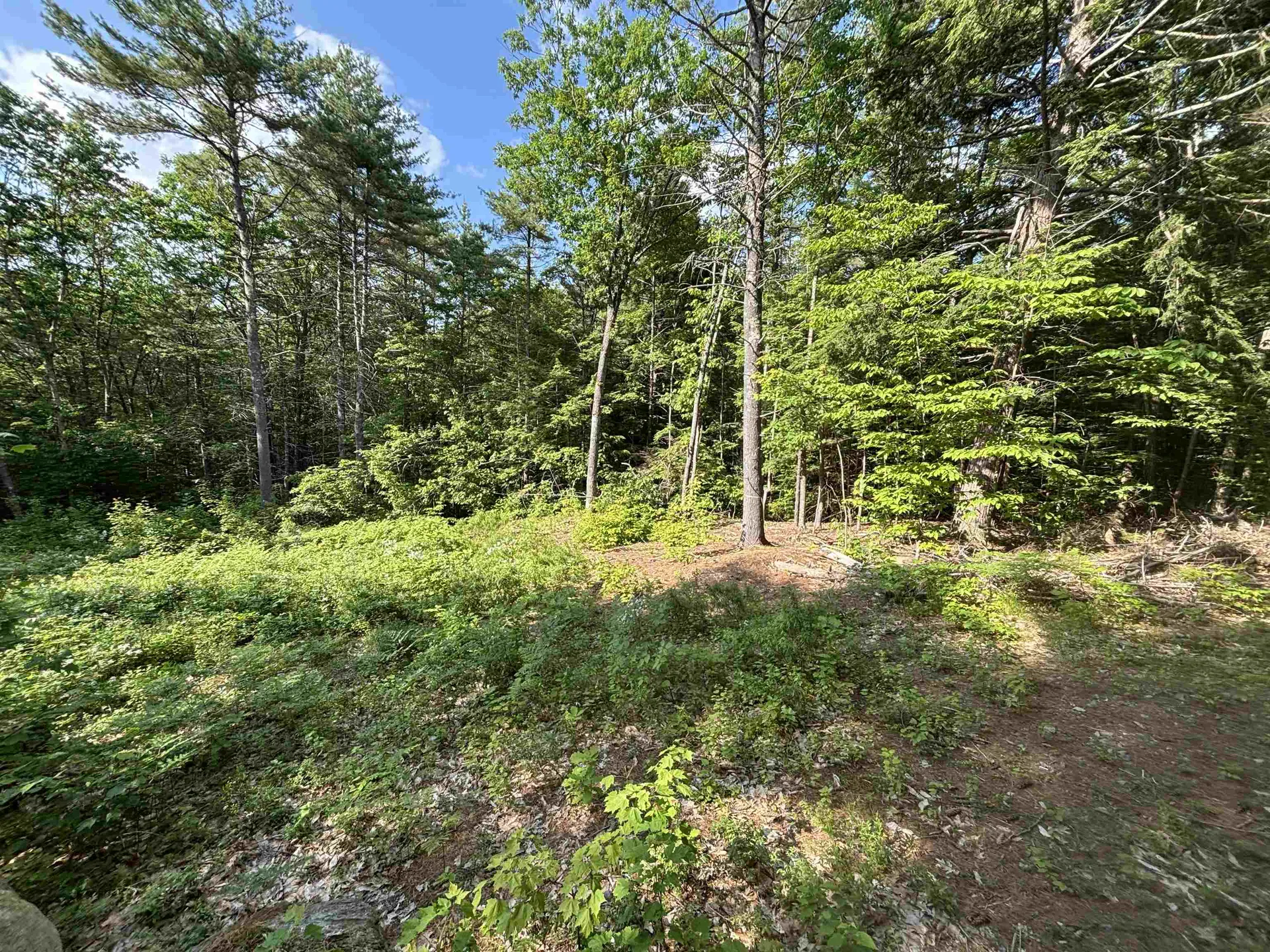 00 Davis Hill Road Conway NH 03813