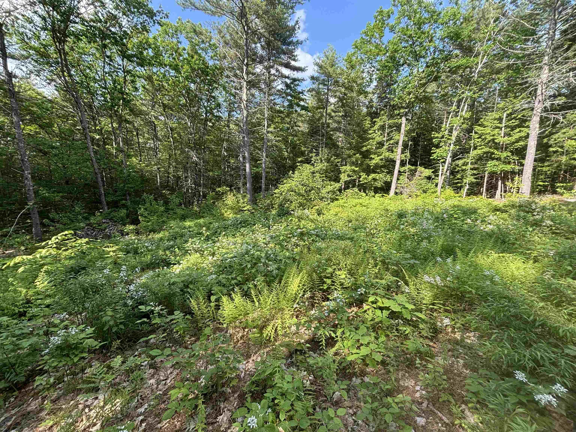 00 Davis Hill Road Conway NH 03813