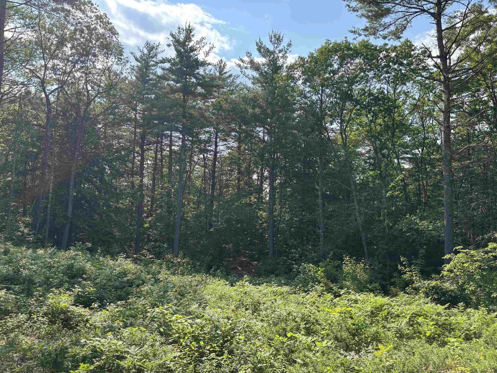 00 Davis Hill Road Conway NH 03813