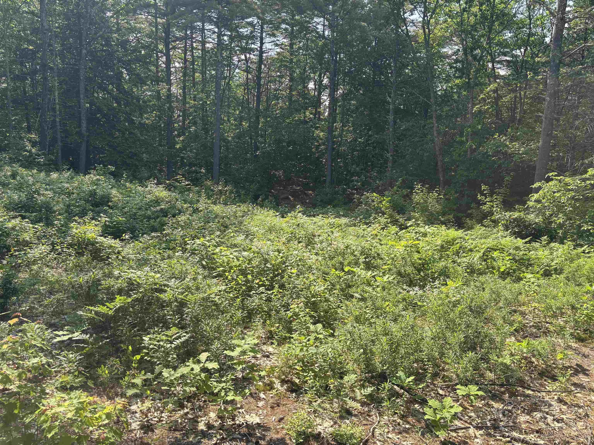 00 Davis Hill Road Conway NH 03813