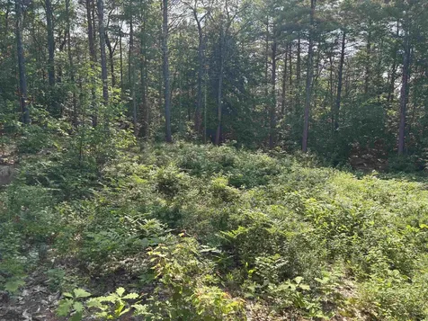 00 Davis Hill Road Conway NH 03813