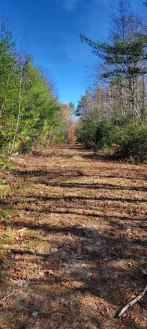 00 Davis Hill Road Conway NH 03813