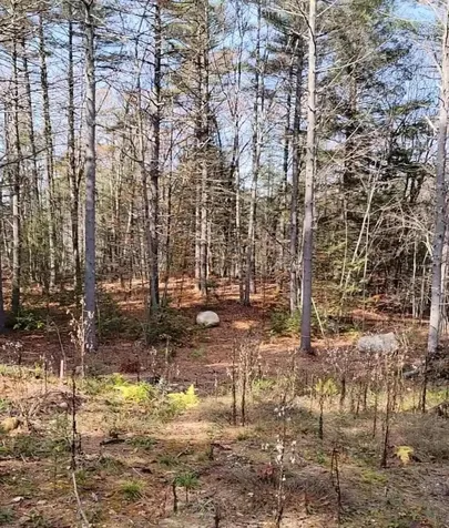 00 Davis Hill Road Conway NH 03813