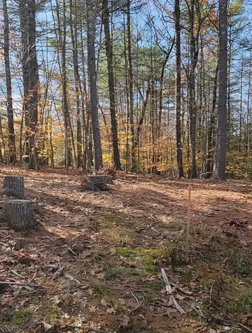 00 Davis Hill Road Conway NH 03813