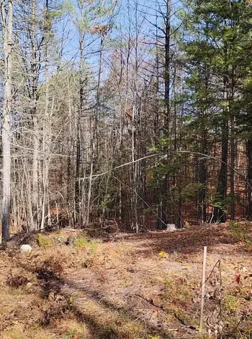 00 Davis Hill Road Conway NH 03813