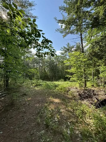 00 Davis Hill Road Conway NH 03813