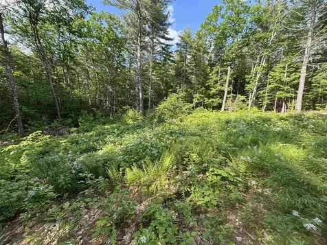 00 Davis Hill Road Conway NH 03813