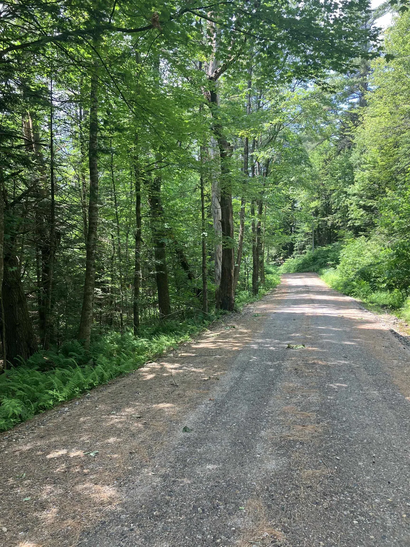 407 River Road Acworth NH 03601