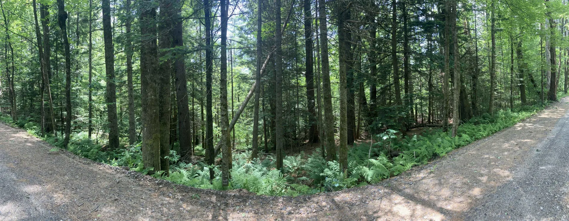 407 River Road Acworth NH 03601