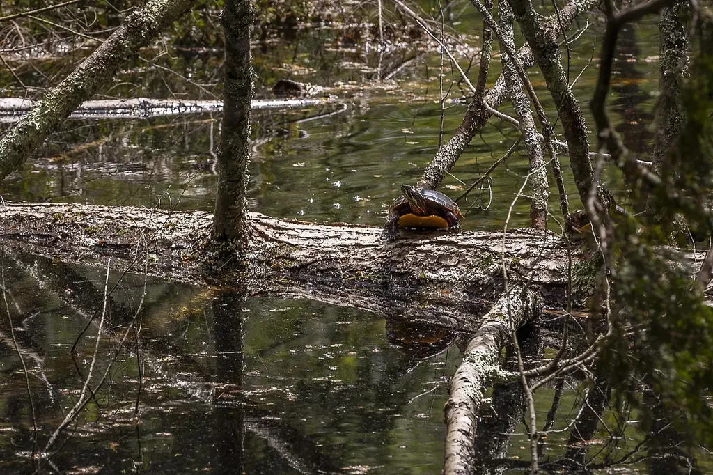 3361 County Road Windsor VT 05089