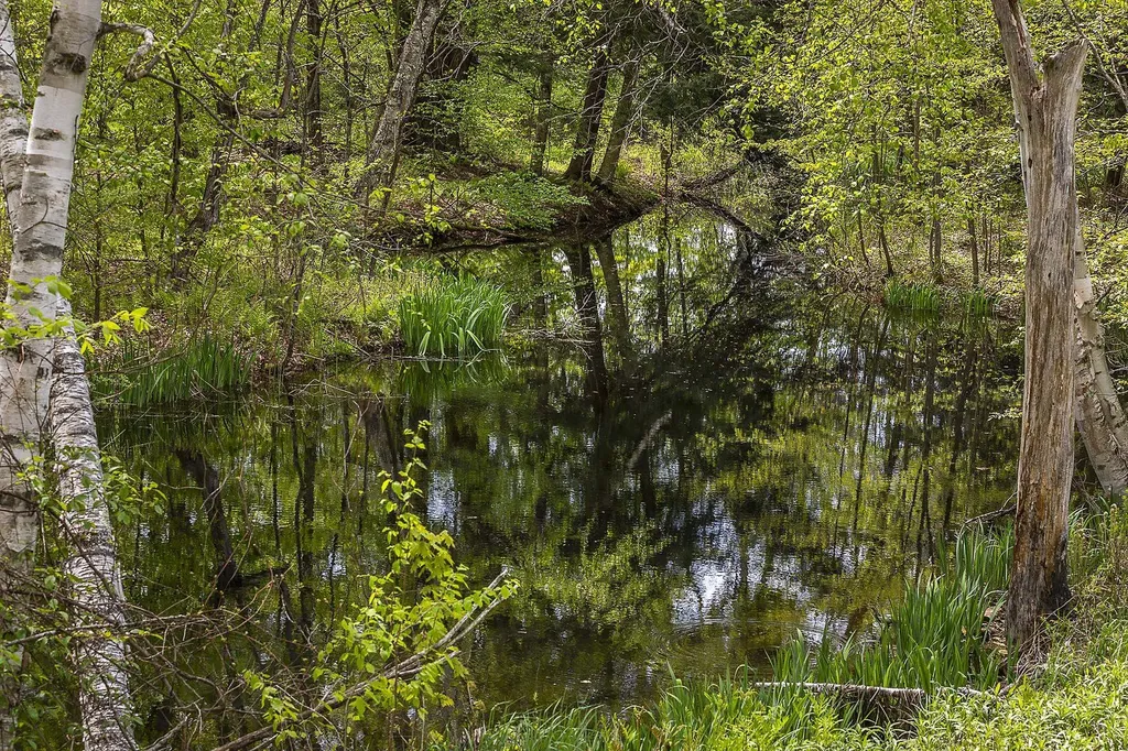 3361 County Road Windsor VT 05089