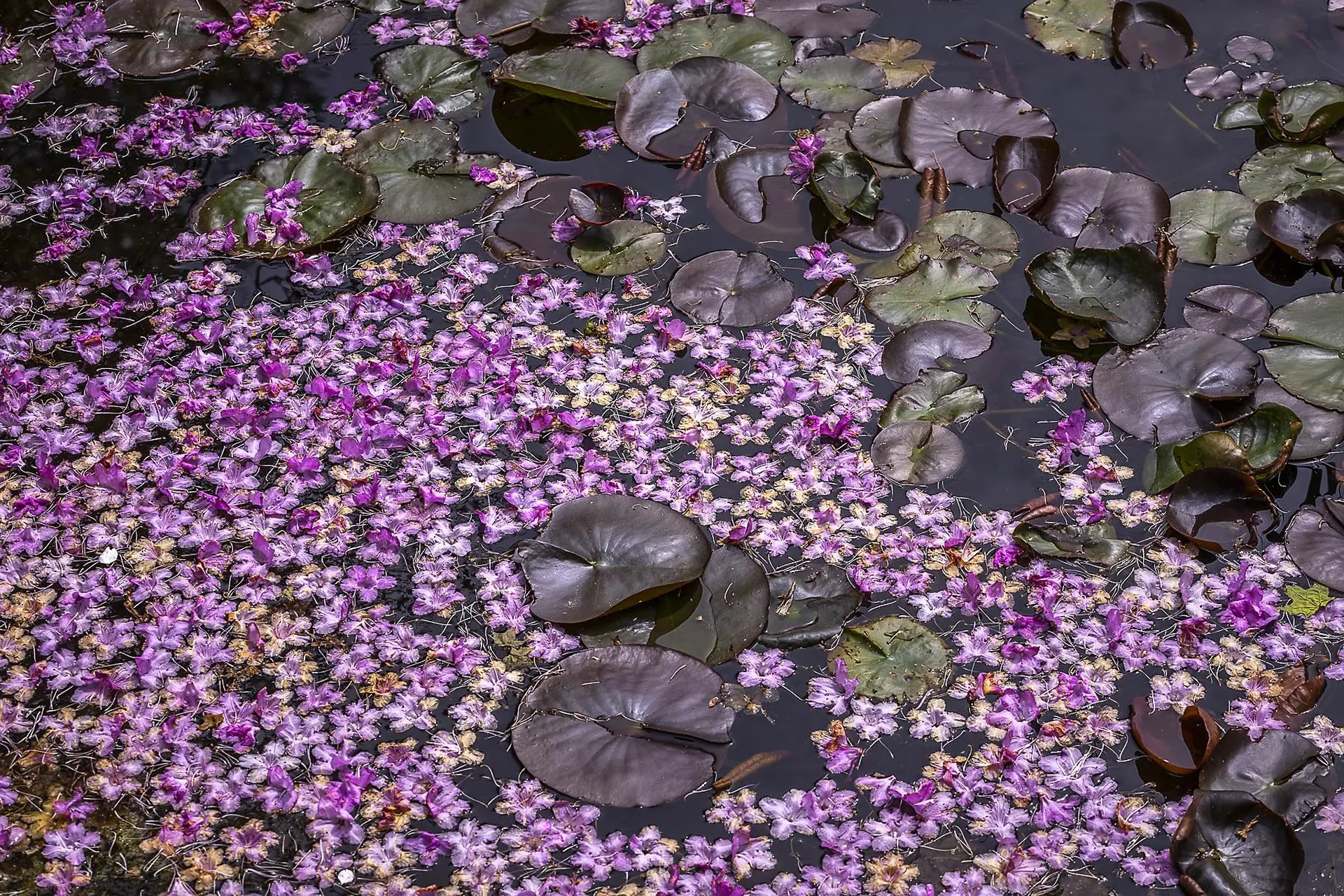 3361 County Road Windsor VT 05089