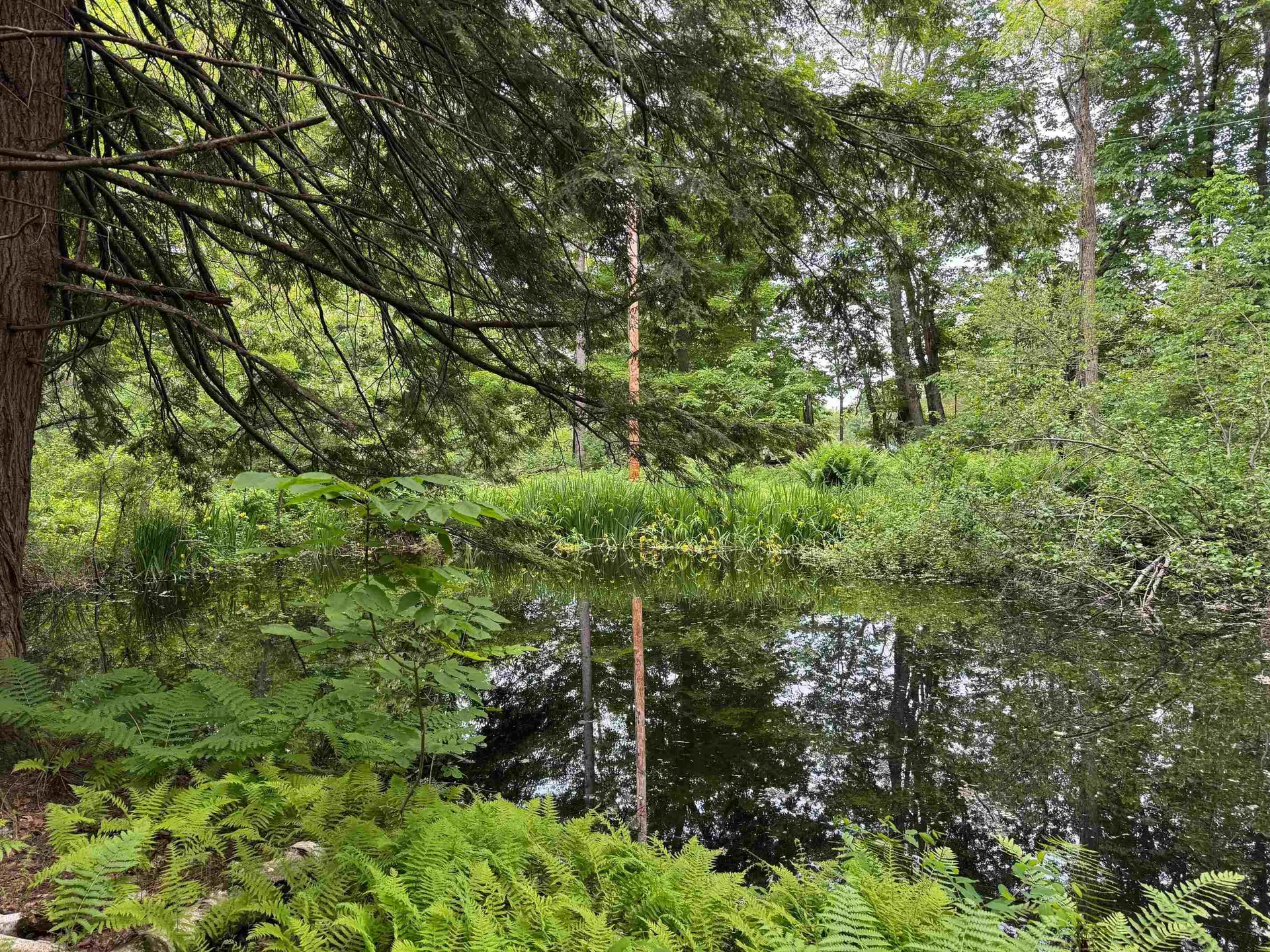 3361 County Road Windsor VT 05089