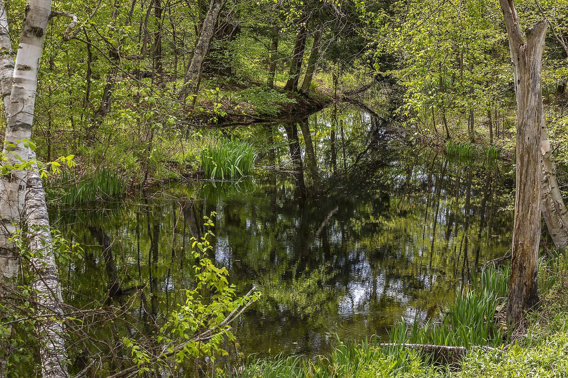 3361 County Road Windsor VT 05089