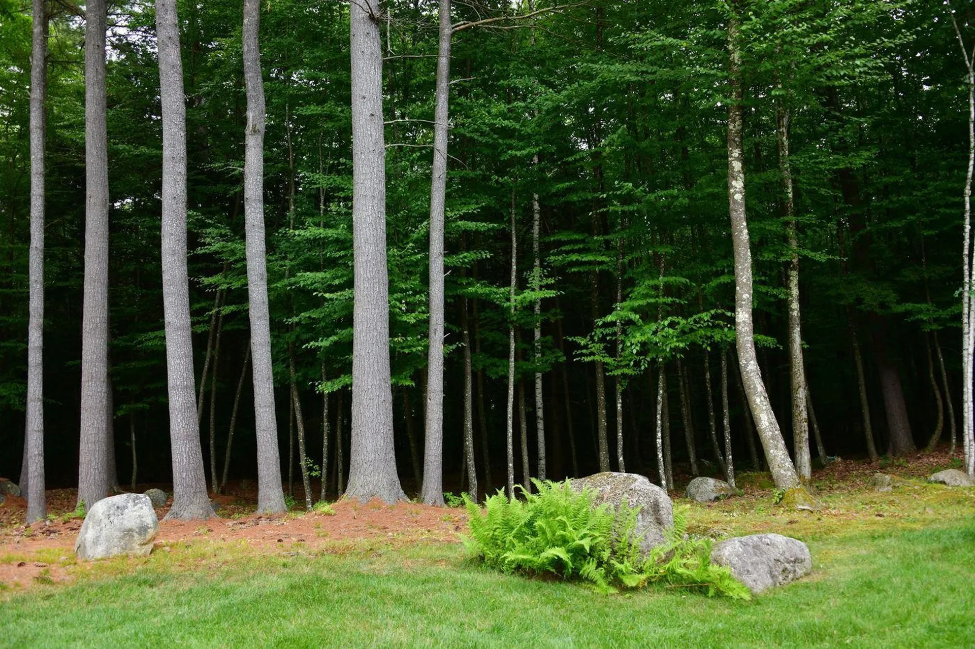 27 Lee Farm Road Hancock NH 03449