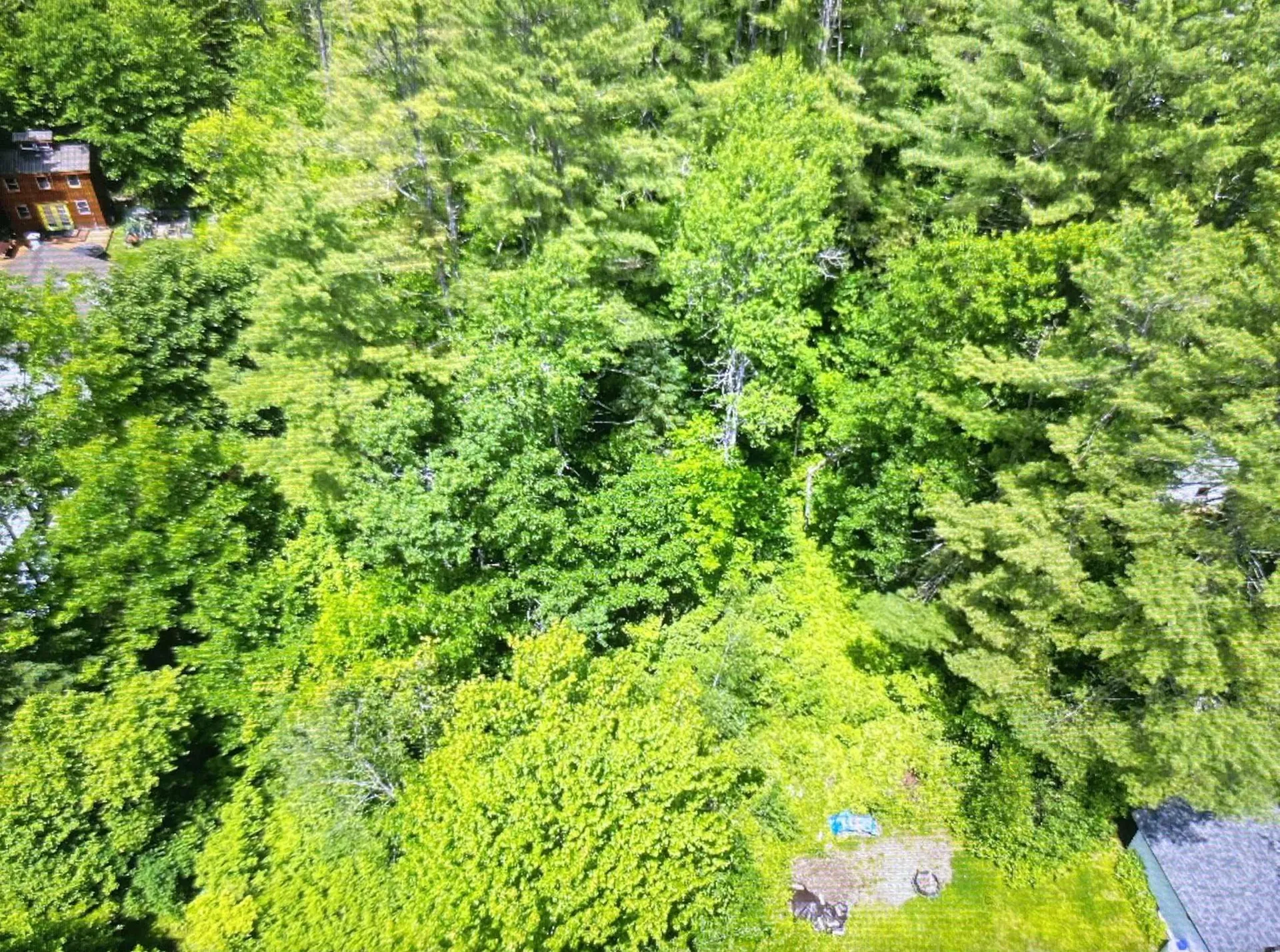 High Street Littleton NH 03561