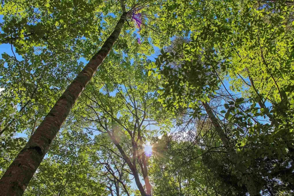 4 John Terrace Ossipee NH 03864