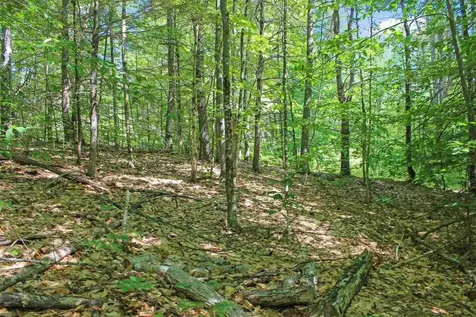 4 John Terrace Ossipee NH 03864