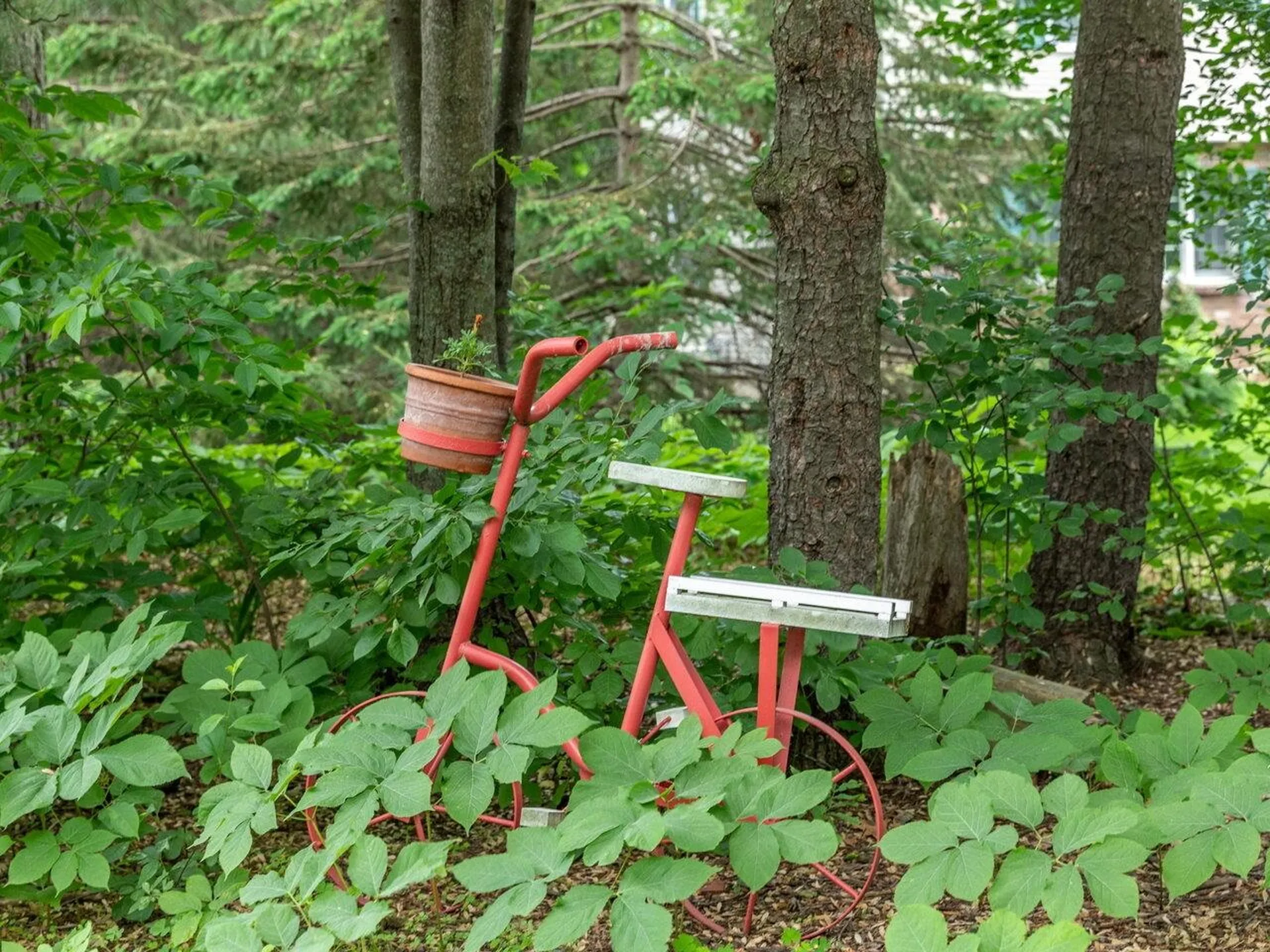 51 Old Sawmill Road Colchester VT 05446