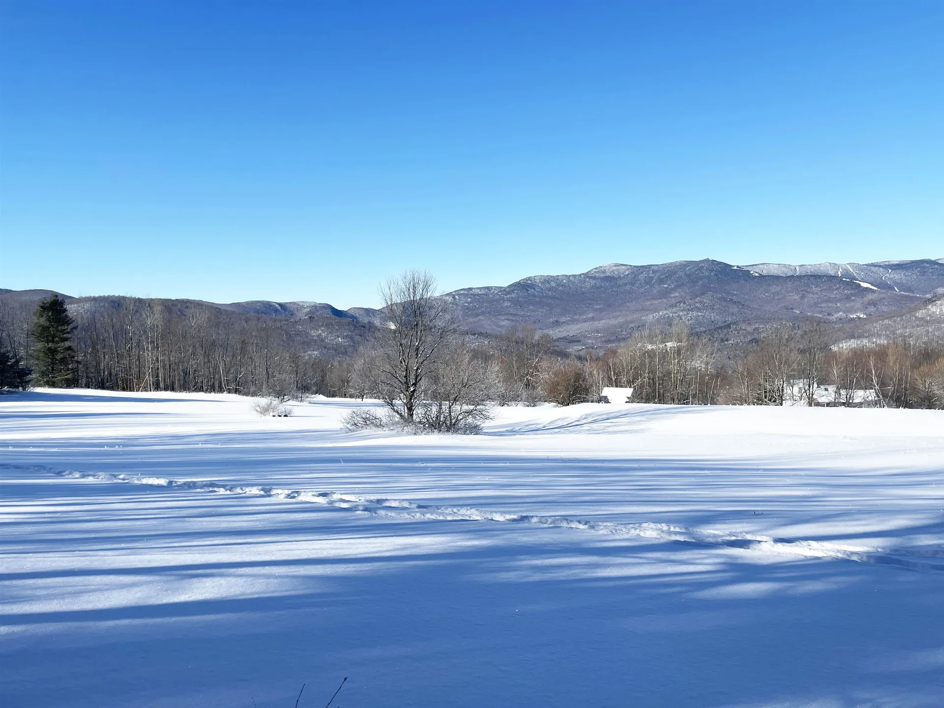 19 Fuller Farm Road Warren VT 05674