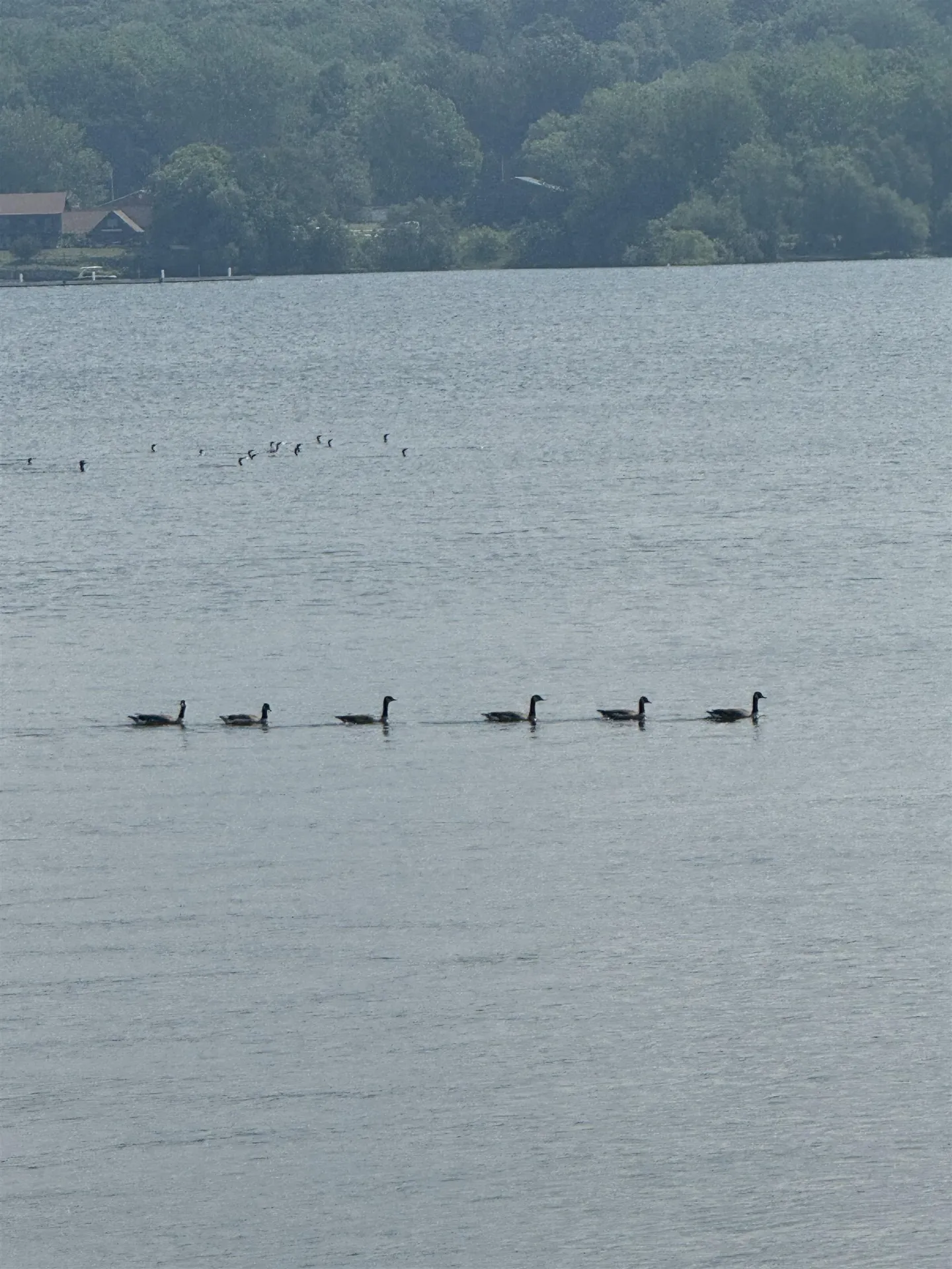 1 Meadow View Drive St. Albans Town VT 05478