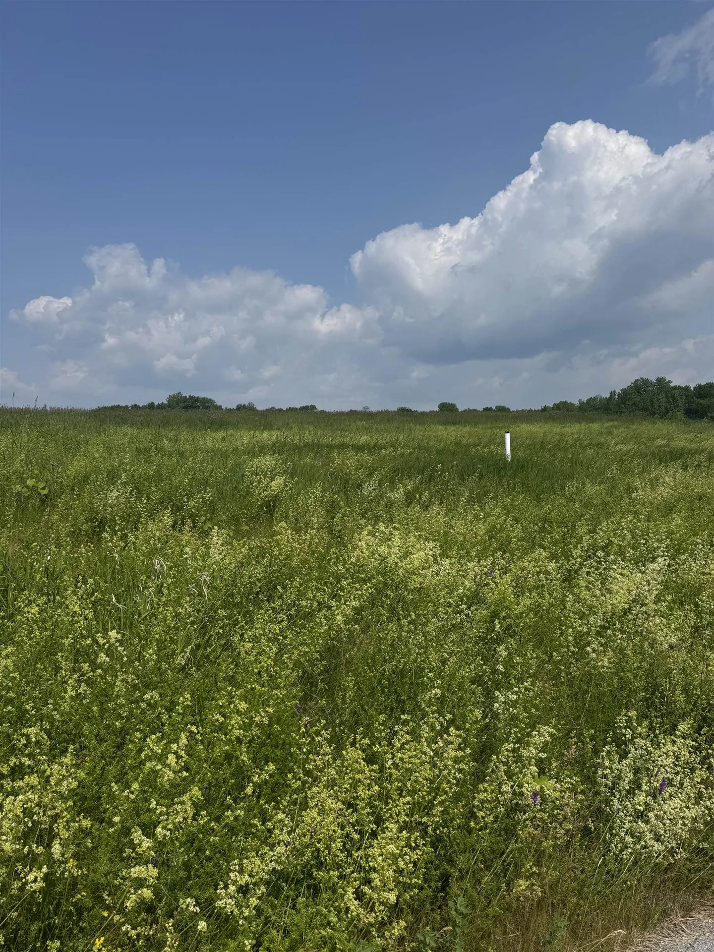 1 Meadow View Drive St. Albans Town VT 05478