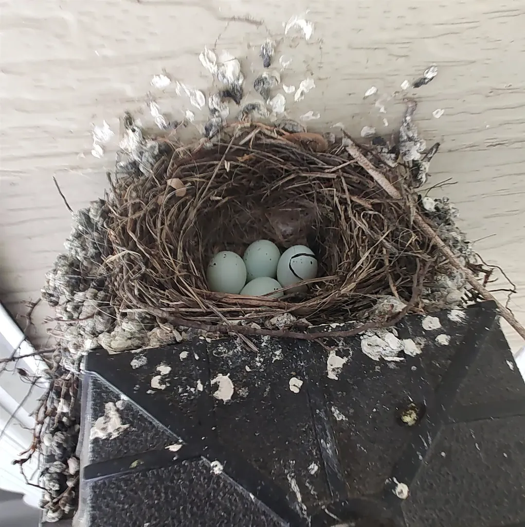 9 Desert Wind Lane Rochester NH 03867