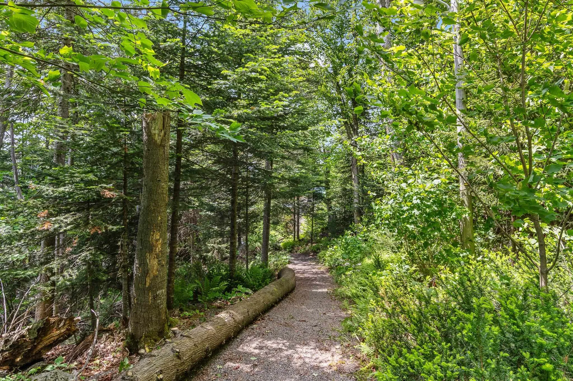 1048 Cottage Road Averill VT 05903