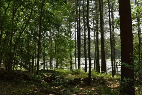 Map 410 Lot 103 Old Centre Road Deerfield NH 03037