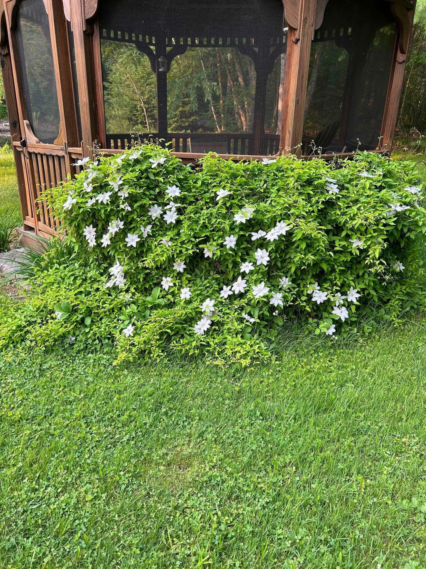 428 North Road Salisbury NH 03268