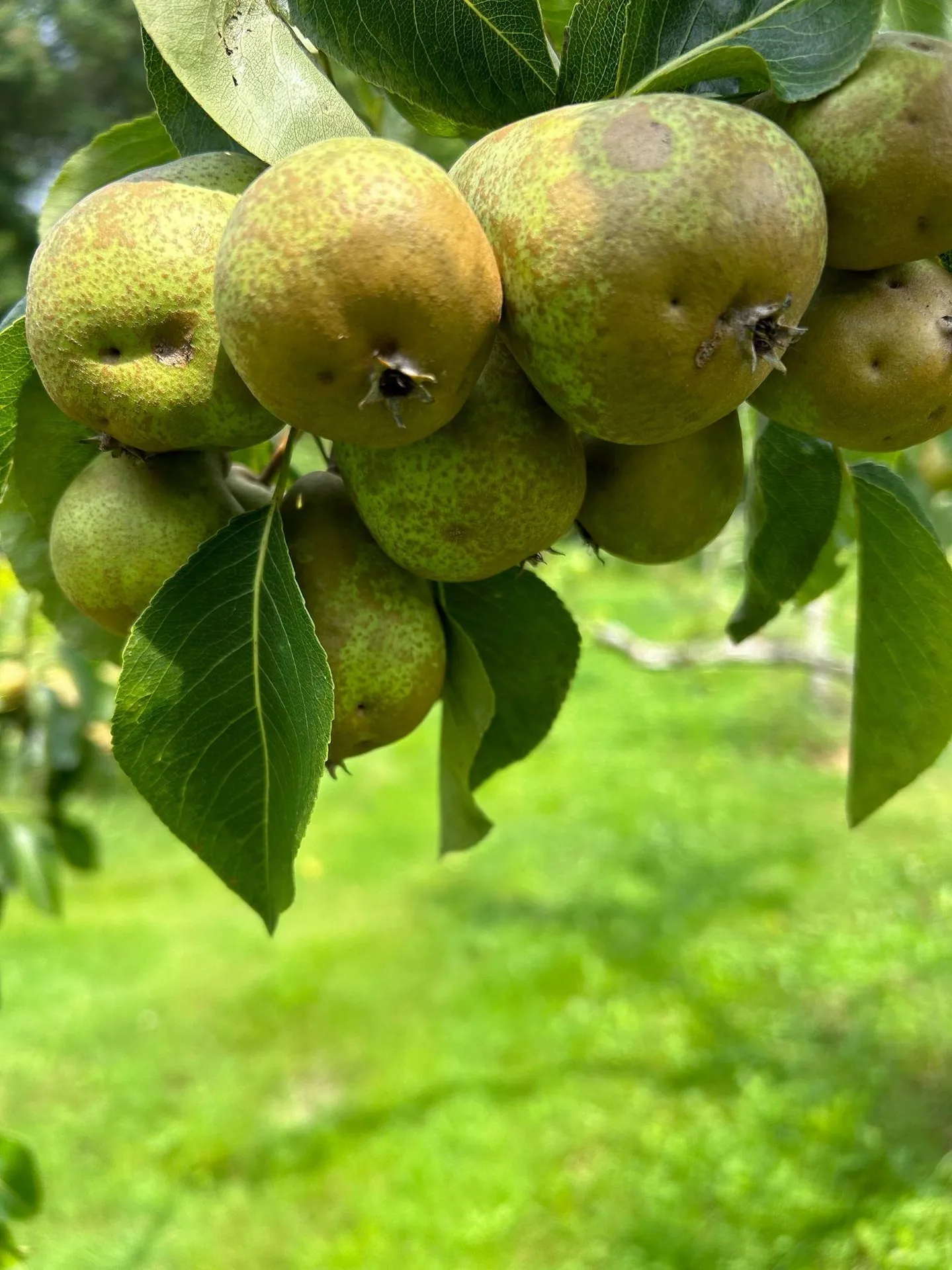 428 North Road Salisbury NH 03268